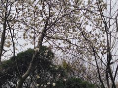 -成都杜甫草堂博物馆
