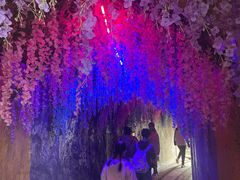 -呀路古热带植物园