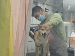 -唐小姐の猫狗洗护·购宠旗舰店(周浦万达店)