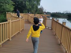 -大湾区中央湿地公园