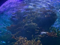 -多彩贵州城极地海洋世界