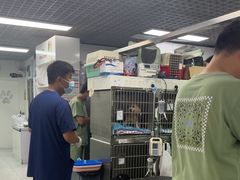 -达爱动物医院·犬猫分区·CT·复杂眼科(远洋山水分院)