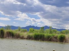 -野鸭湖国家湿地公园