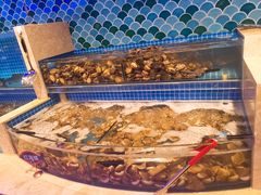 鲍鱼-乔哥铭洋海鲜自助(皇城恒隆广场店)