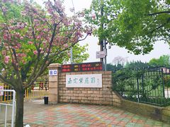 -嘉定紫藤园