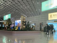 -郑州新郑国际机场-T2航站楼