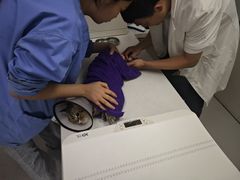 -宠颐生宠物医院·犬猫全科·皮肤科(商业街店)