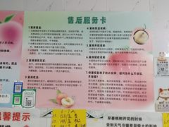 -老袁家蜜桃农场·阳山水蜜桃