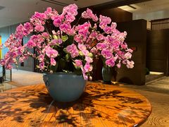 -山港凯悦酒店·东海88私房菜