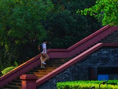 -四川大学(华西校区)