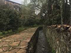 -许家山
