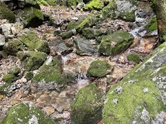 -本溪汤沟绿石谷森林公园