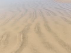 -日照海滨国家森林公园