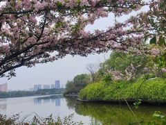 -成都南湖公园