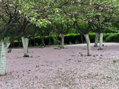 -白塘生态植物园
