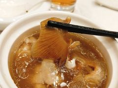 海皇炖翅汤-金满楼(天河中路店)