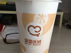 -蜜雪冰城(托乐嘉店)
