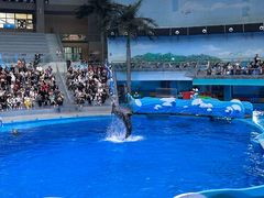 -海合安成都极地海洋公园