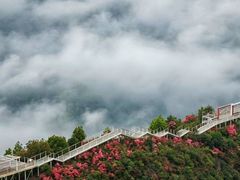 -瑞安圣井山景区