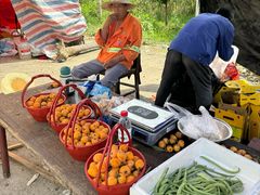 -塘栖枇杷特色园区