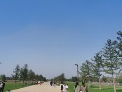 -汉长安城未央宫国家考古遗址公园