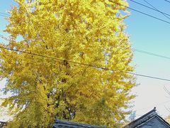 -水峪民俗村