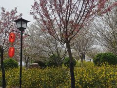 -古柏渡飞黄旅游区