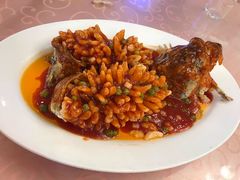 松鼠鳜鱼-烤肉宛饭庄(南礼士路店)