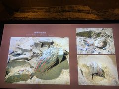 -秦始皇帝陵博物院(兵马俑)