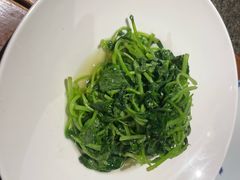 -真地道京味府·鲜橙烤鸭·北京菜(朝外大街东大桥店)