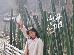 -MOJ coffee(瓯海泽雅水碓坑店)