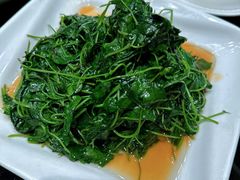 -新南华大酒店(广中店)