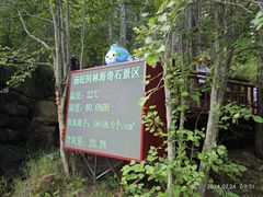 -汤旺河林海奇石景区