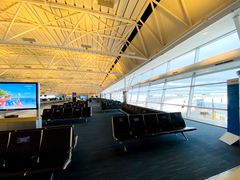 -约翰·菲茨杰拉德·肯尼迪国际机场