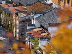 -大鄣山卧龙谷景区