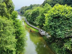 -广州市帽峰山景区
