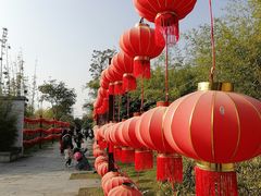 -武汉园博园(武汉自然博物馆)