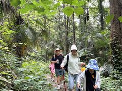 -素山寺森林公园