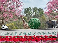 -广东茂名森林公园