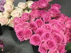 -中国电信(NJ鼓楼天翼广场店)