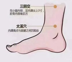 -香薇妮丝女子减肥院