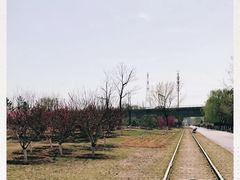 -永定河休闲森林公园