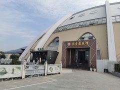 -丁老爷子苏香圆