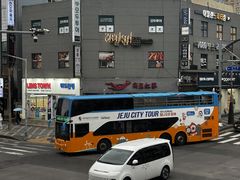 -宝健路步行街(Pedestrian Shopping Street)