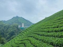 -玉石林风景区