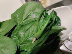 -海底捞火锅(方圆荟店)