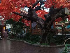 -老山东·山东菜(鲁菜名店)