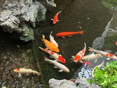 -广州白天鹅宾馆