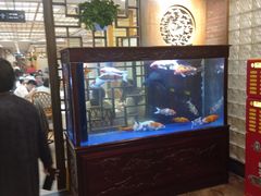 -庐州太太(鼓楼店)