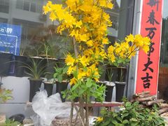 -青云峡风景区